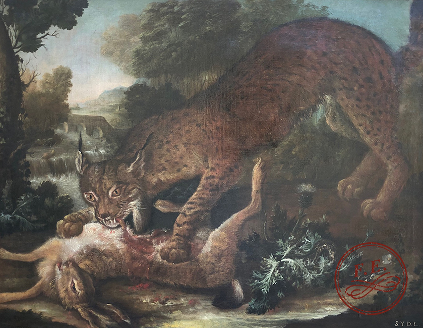 Lince-Cazando-Conejo